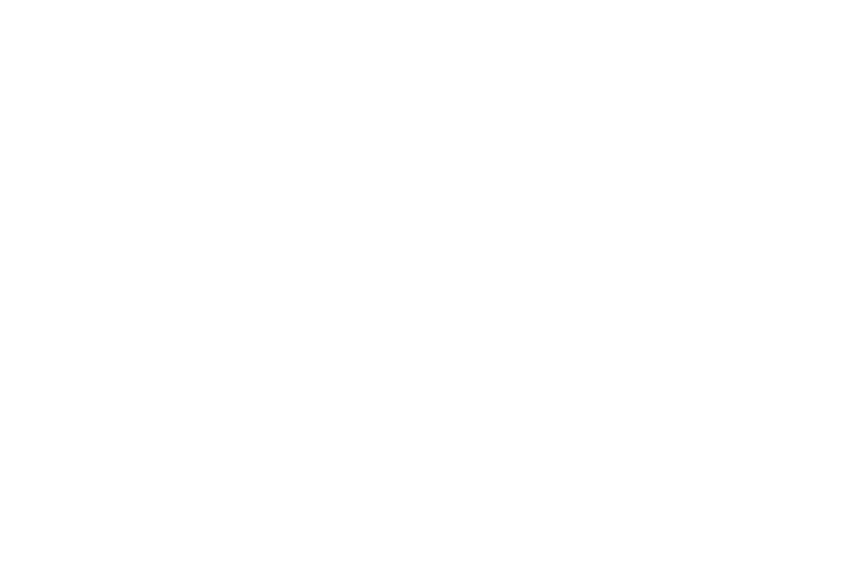Dunn Wisdom